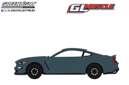 2017 Ford Shelby GT350
